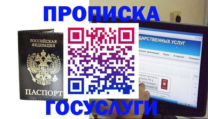 прописка гарантия в Павловске